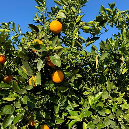 Finca Malata Turís Екстериор снимка
