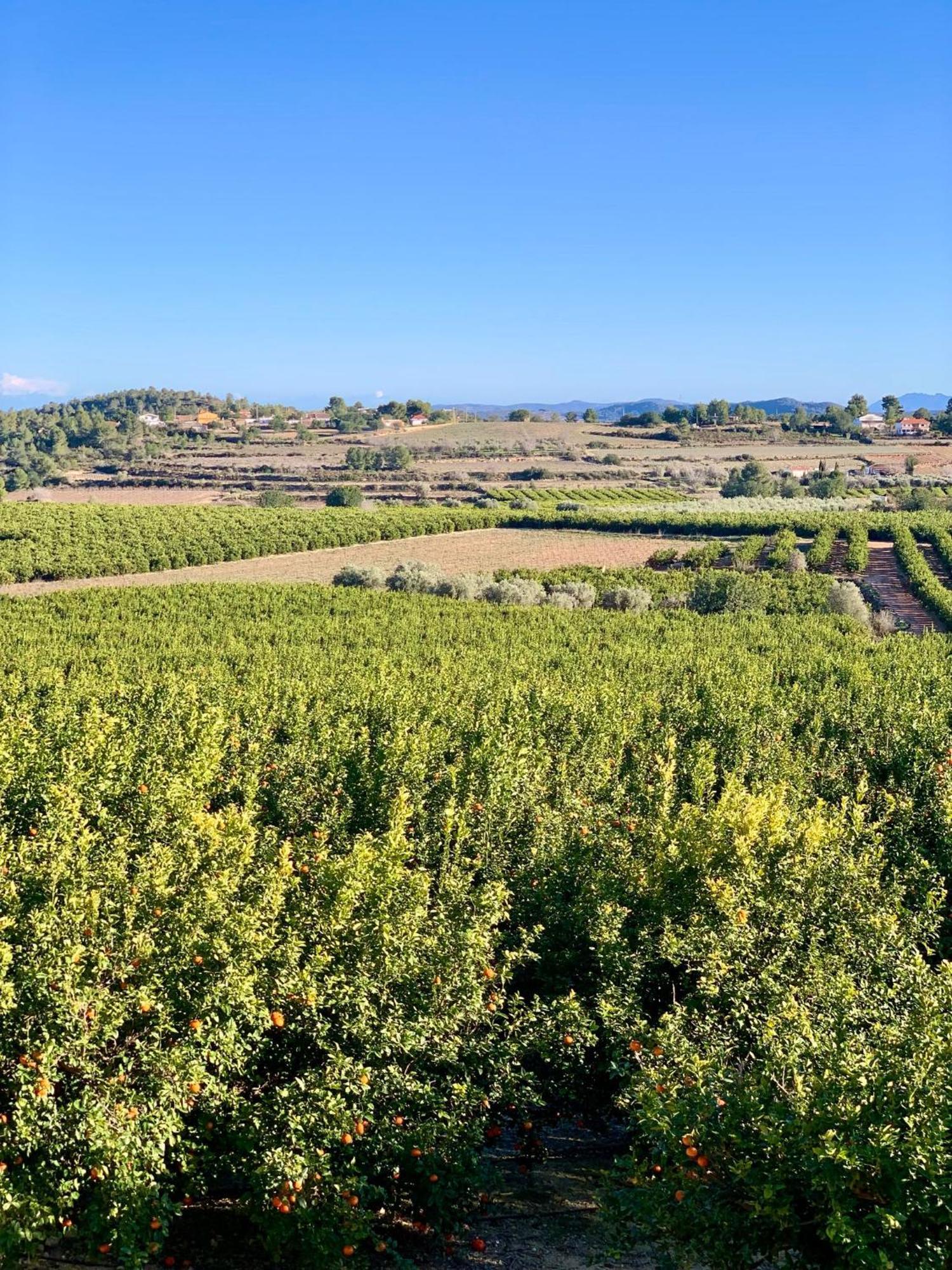 Finca Malata Turís Екстериор снимка